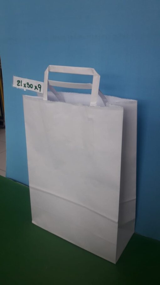 Bolsas Blancas Papel 22x30x10
